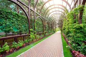 wooden pergola arcade with climbing plants and a flower bed with pedestrian walkway from stone tiles on a summer day.