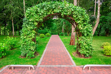 deciduous arch from oak in green leaves in a park with a tile walkway in perspective and green plants.