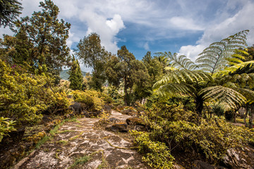 The natural background of flower beds in the garden, changing the color of the foliage during the season, the blurring of the wind blowing through the trees, allowing travelers to relax on the way.