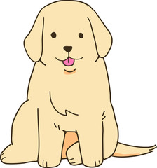 ゴールデンレトリバー（正面お座り）