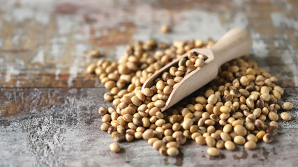 Soybeans in a wooden spatula. Selective focus. Macro.