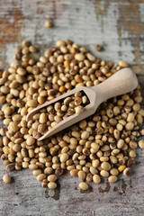 Soybeans in a wooden spatula. Selective focus. Macro.