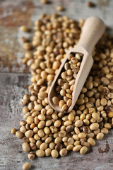 Soybeans in a wooden spatula. Selective focus. Macro.