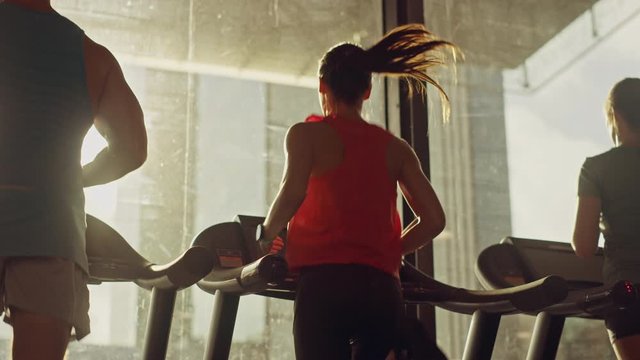 Group of Athletic People Running on Treadmills in a Row, Doing Fitness Exercise. Athletic and Muscular Women and Men Actively Training in the Modern Gym. Side View Golden Hour Sunny Light