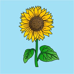 Illustration of Beautiful Sunflower, Flat Design
