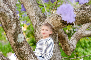 Blonde boy, enjoying nature, outdoor in spring. Jacaranda trees