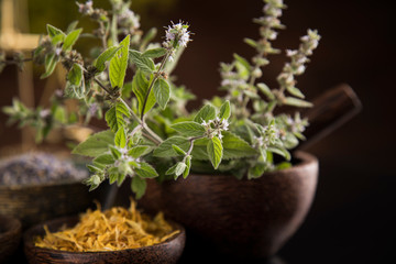 Natural medicine in black mirror background