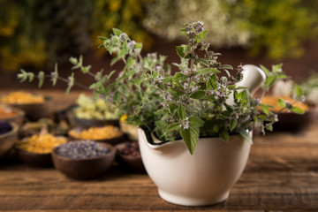Herbs medicine and vintage wooden background