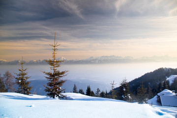 Fototapeta na wymiar Snow covered fir trees against blue sky on cold winter