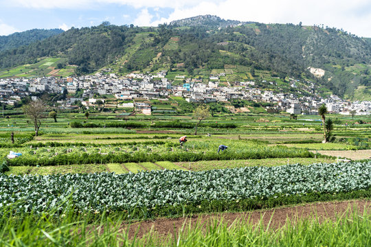 Paisaje del campo de cosechas de Almolonga Guatemala con sus casas y sus monta&ntilde;as.