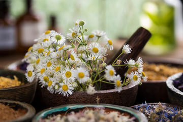 Natural remedy, healing herbs background