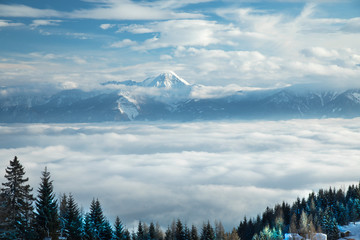 Fantastic winter landscape, sunset, snow covered trees