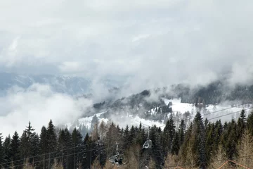 Papier Peint photo Forêt dans le brouillard Arbres d& 39 hiver dans les montagnes, paysage naturel