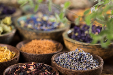 Herbs medicine and vintage wooden background