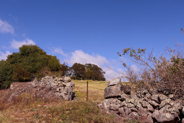 ruins of old stone fence country photography