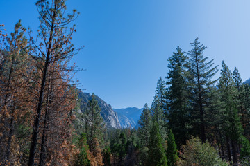 beautiful mountains landscape in Kings Canyon National Park