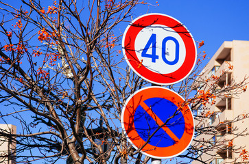 Street traffic speed limit and no enter sign with autumn tree