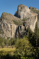 amazing Yosemite National Park panorama with a beautiful forests and rocks
