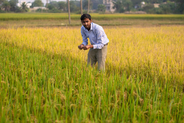 Naklejka na ściany i meble Portrait of young Indian Farmer wearing formal dress in green paddy field.