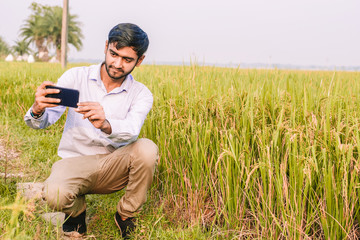 Young Indian farmer using mobile  phone and taking pictures in Paddy field in formal dress.