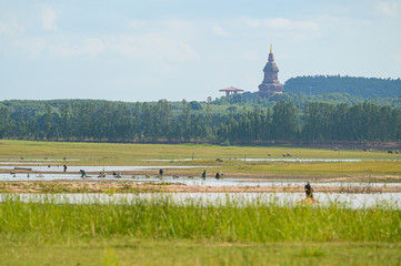 Landscape view of Wat Phu Khao temple lamdmark in Kalasin, Thailand.