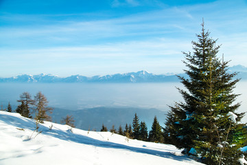 Winter landscape with snow covered trees