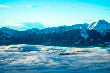 Snow covered fir trees against blue sky on cold winter