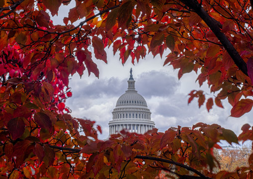 Capitol Building Dome on a Cloudy Autumn Day with Red Leaves
