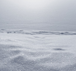 snow texture. Winter, frost and background. 