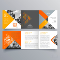 Brochure design, brochure template, creative tri-fold, trend brochure