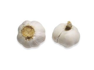 fresh garlic on white background