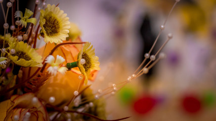 yellow flowers on a black background