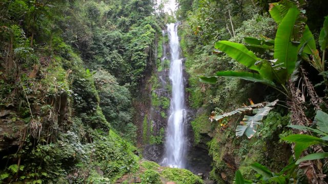 tropical waterfall stream cascades in jungle in bali indonesia