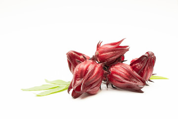 Rosella, Jamaican Sorel, Kharkade (Hibiscus sabdariffa Linn.) isolated in white background.