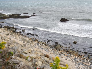 Wide shot of scenic views of rocky beachline with yellow flowers along the road