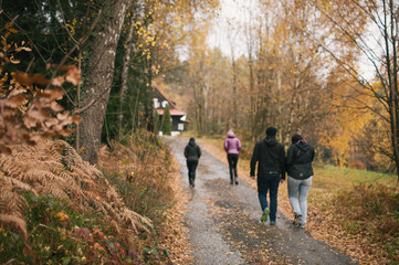 Obraz premium Mist and golden leaves in Beskydy mountains