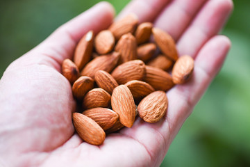 Close up almond nuts natural protein food and for snack - Almonds in hand nature green background