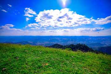 green field and blue sky