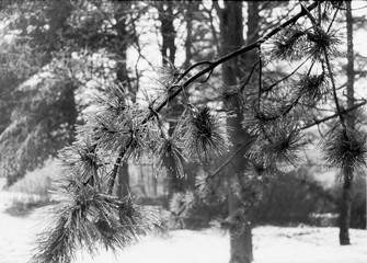 Retreat from the city of Brno in search of quiet places, BW film