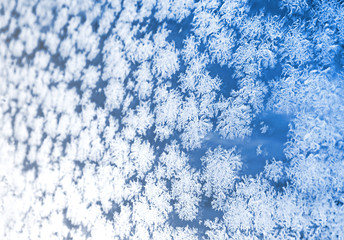 Ice flowers frozen blue window textured background