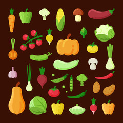 Various vegetables color flat vector illustrations set