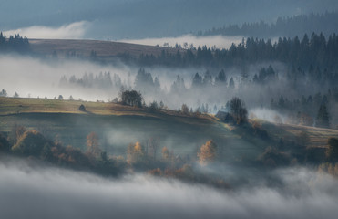 Wspaniały widok na wioskę spowitą mgłą. Rytmiczne wzgórza we mgle. Wcześnie rano Jesienny czas. Stan słoneczny. Mały dom w gęstym lesie. Natura niebieskie tło. Karpaty. Zachodnia Ukraina - 306298776