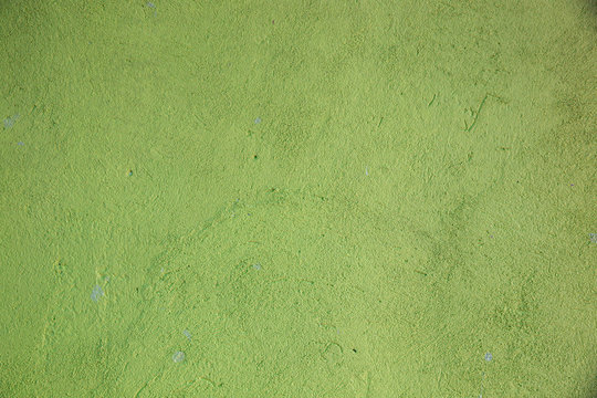 Color texture of the walls
