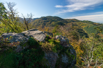 Herbst am Kreuzfelsen, Nordschwarzwald