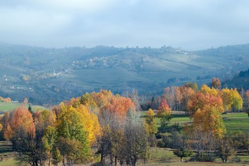 autumn forest nature image, scenic view mountains.