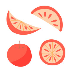 Vector hand drawn illustration of orange slices and apple. Ingredients for Mulled Wine. Design greeting cards, posters, gift wrapping.