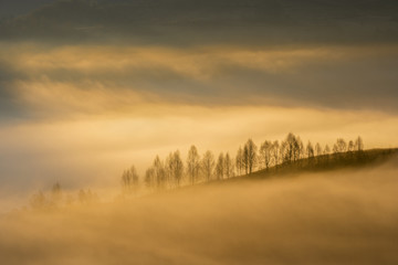 Fototapeta na wymiar Alpine sea in the mountains. Dumesti a village from Romania cover in fog.