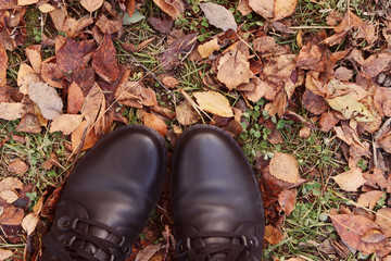 Black women's shoes on the background of fallen autumn leaves and green grass in the Park.Selective focus. The view from the top