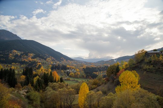 autumn forest nature image, scenic view mountains.