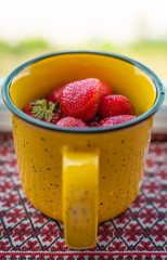 Ripe strawberries lying in a vivid yellow glossy mug standing on a terrace fence over blurred background of greenery and sky.